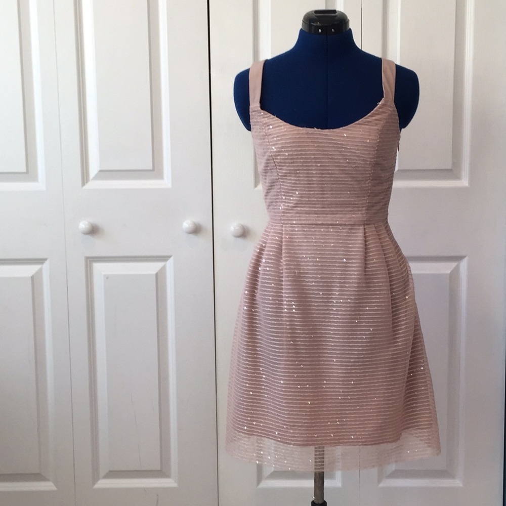 Stunning Blush Sequin Dress
